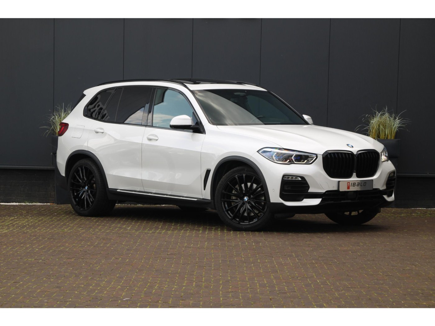 BMW X5 xDrive45e X-Line — foto 3 van 66
