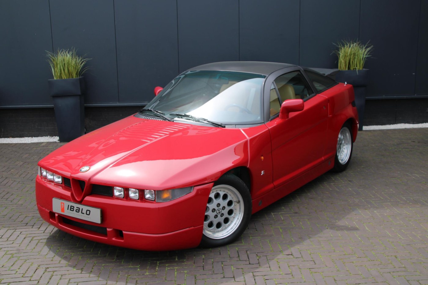 Alfa Romeo SZ Coupé — foto 7 van 43
