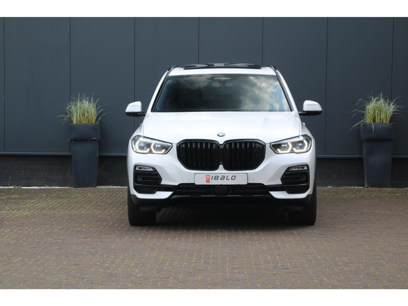 BMW X5 xDrive45e X-Line — foto 2 van 66