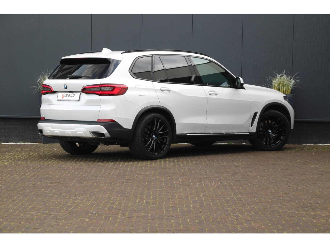 BMW X5 xDrive45e X-Line — foto 5 van 66