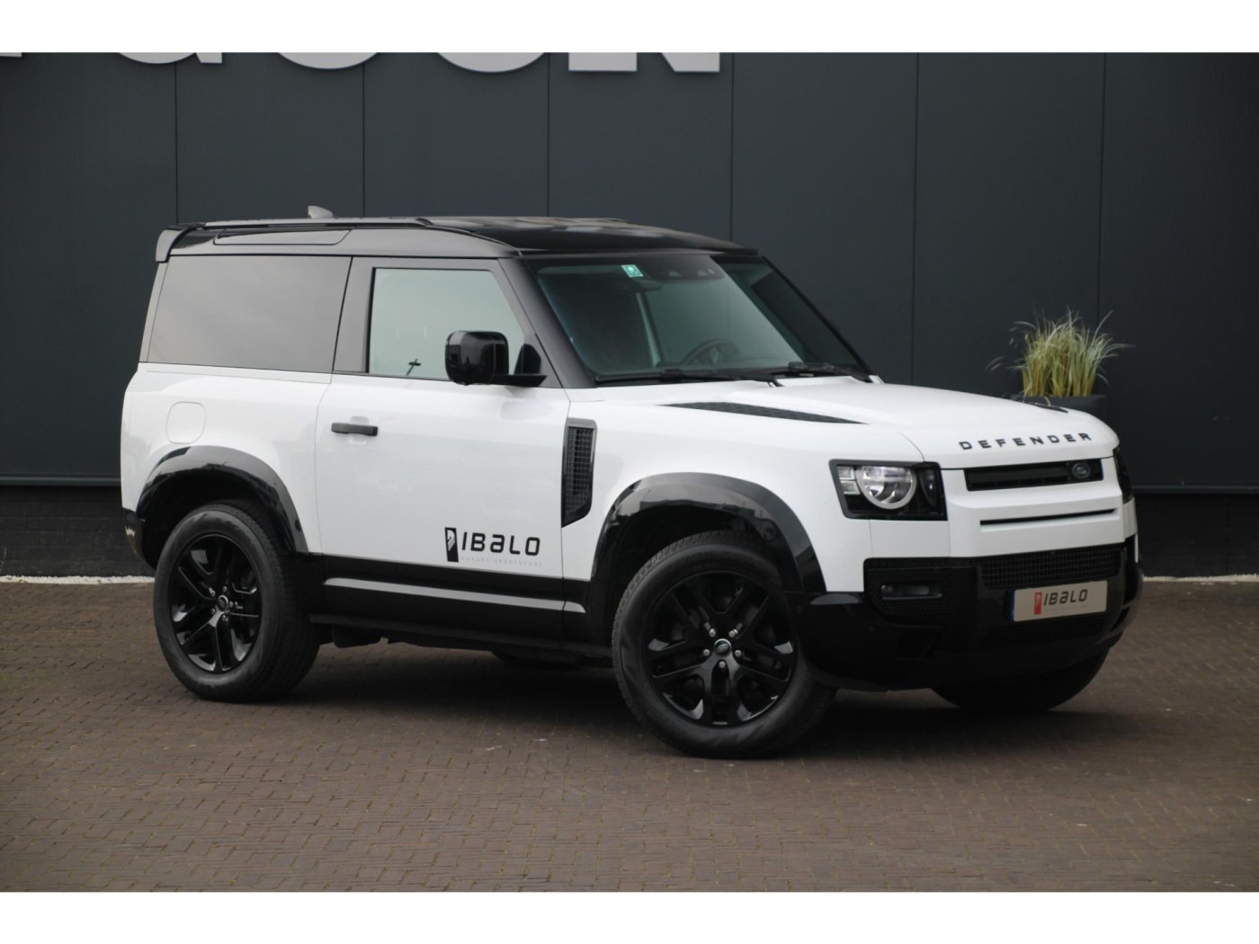 Land Rover Defender 90 D250 — foto 6 van 13