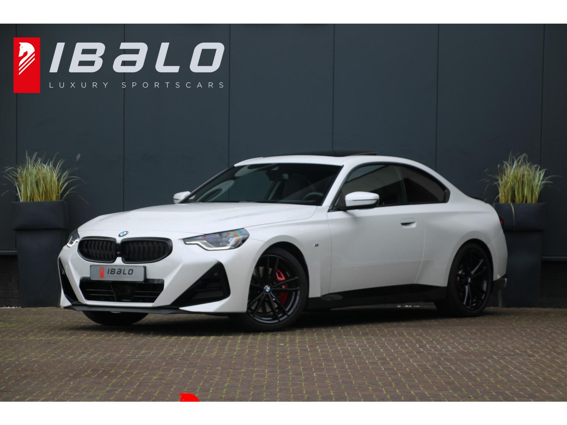 BMW 2-serie Coupé 220i