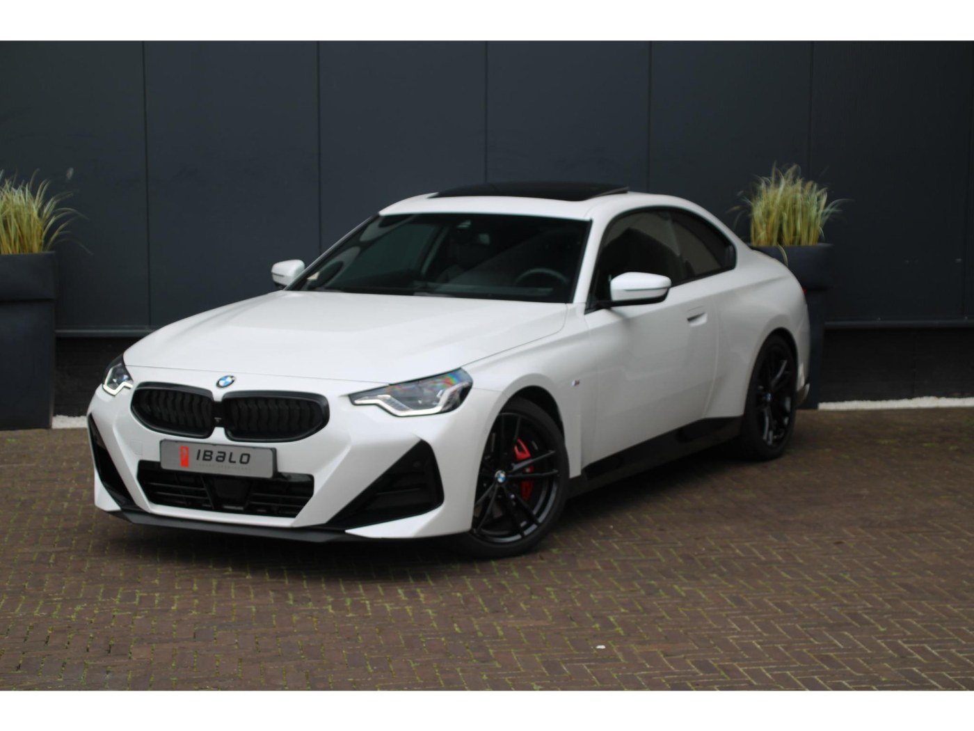 BMW 2-serie Coupé 220i | M-Sport Pro | Schuifdak | Harman/Kardon | — foto 30 van 32
