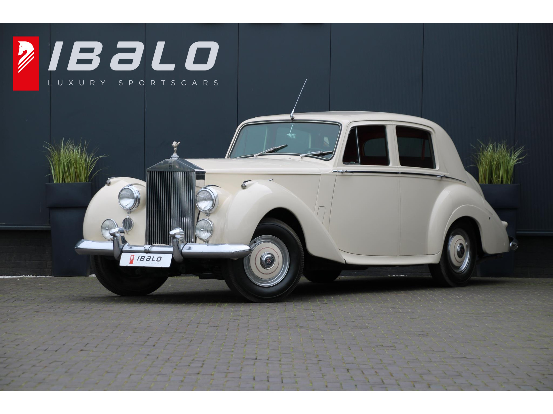 Rolls-Royce Silver Dawn 4.6 6-cilinder | 1953 | Automaat | Slechts 7.951km | BTW-Auto |