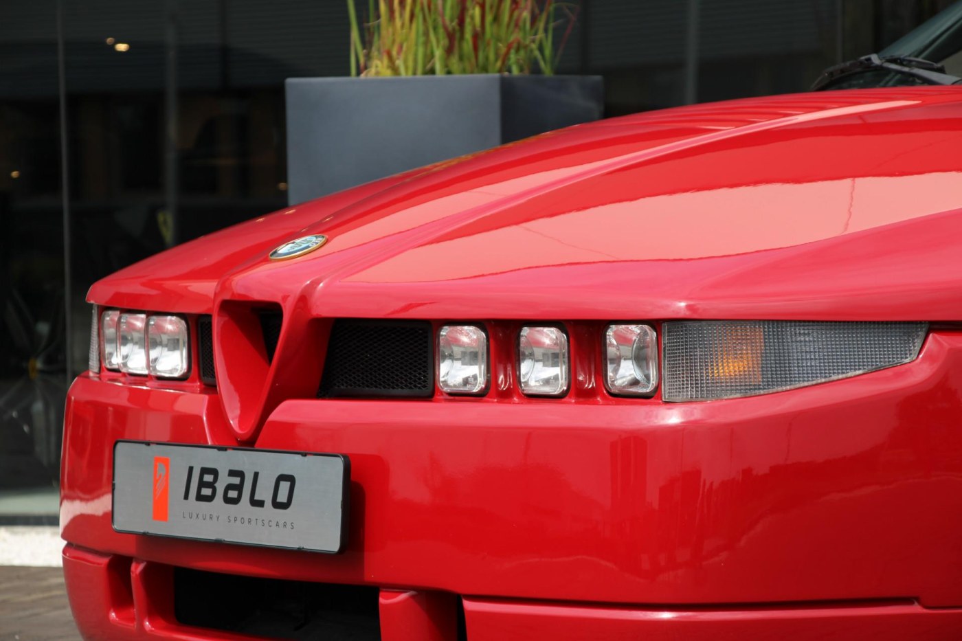 Alfa Romeo SZ Coupé — foto 19 van 43
