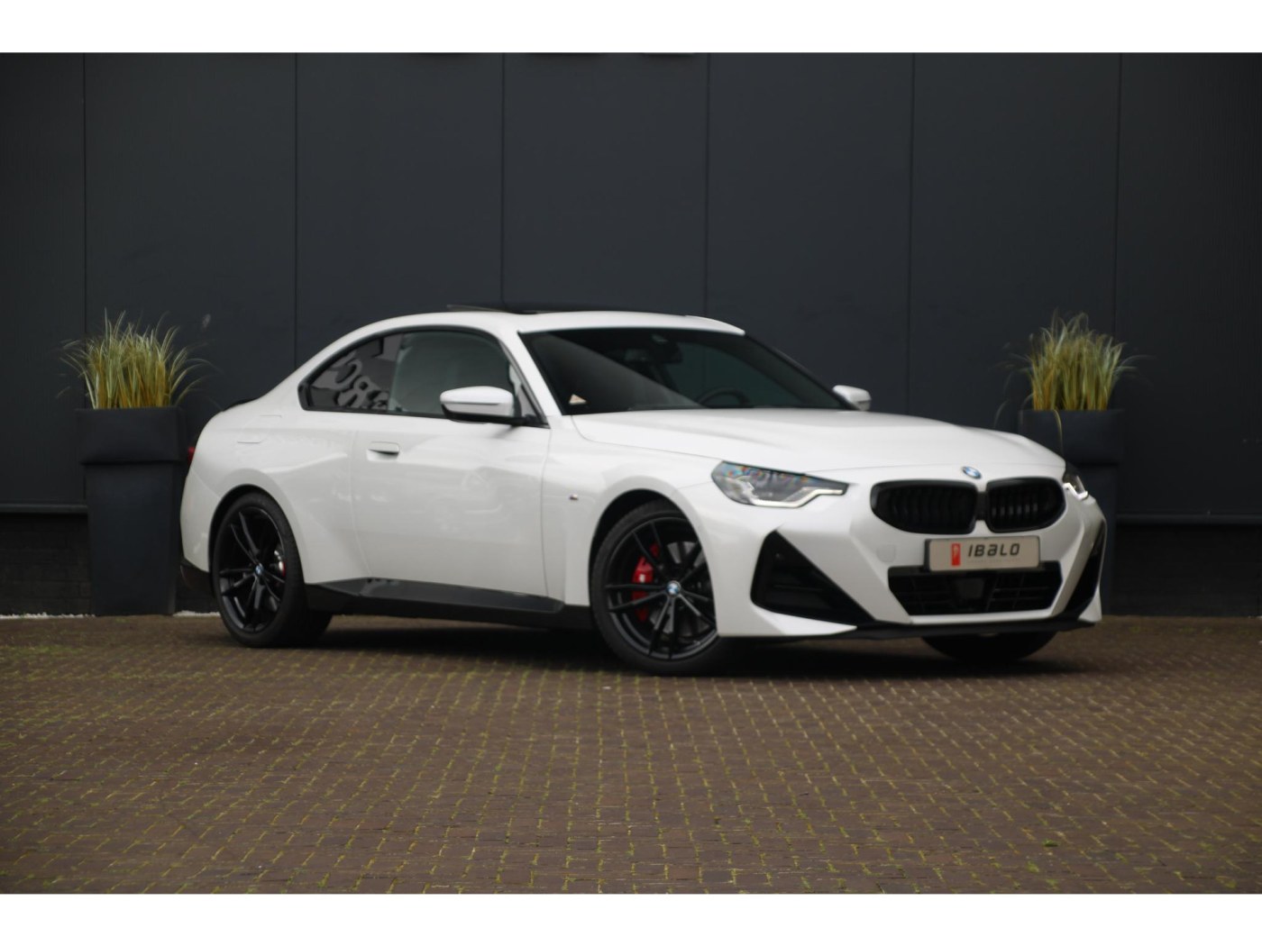 BMW 2-serie Coupé 220i | M-Sport Pro | Schuifdak | Harman/Kardon | — foto 19 van 32