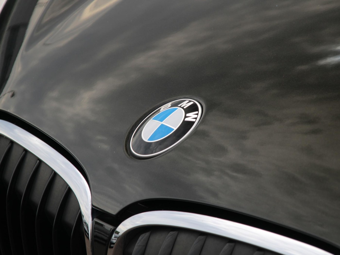 BMW X1 sDrive20i SportLine — foto 15 van 43