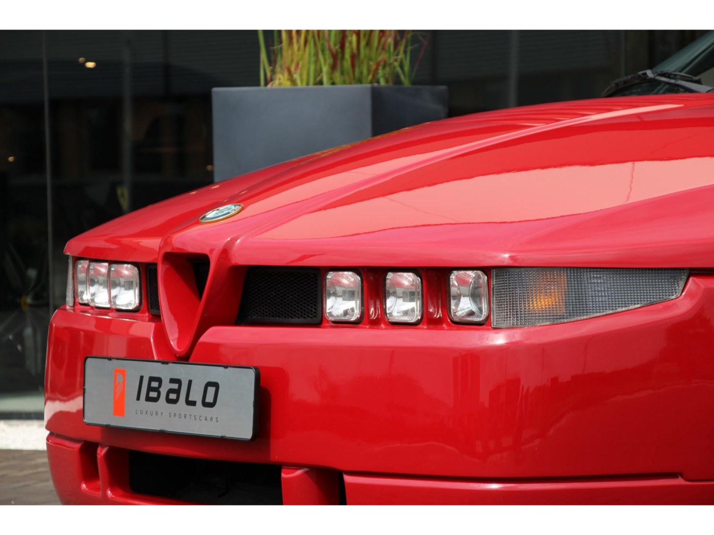 Alfa Romeo SZ Coupé — foto 19 van 43