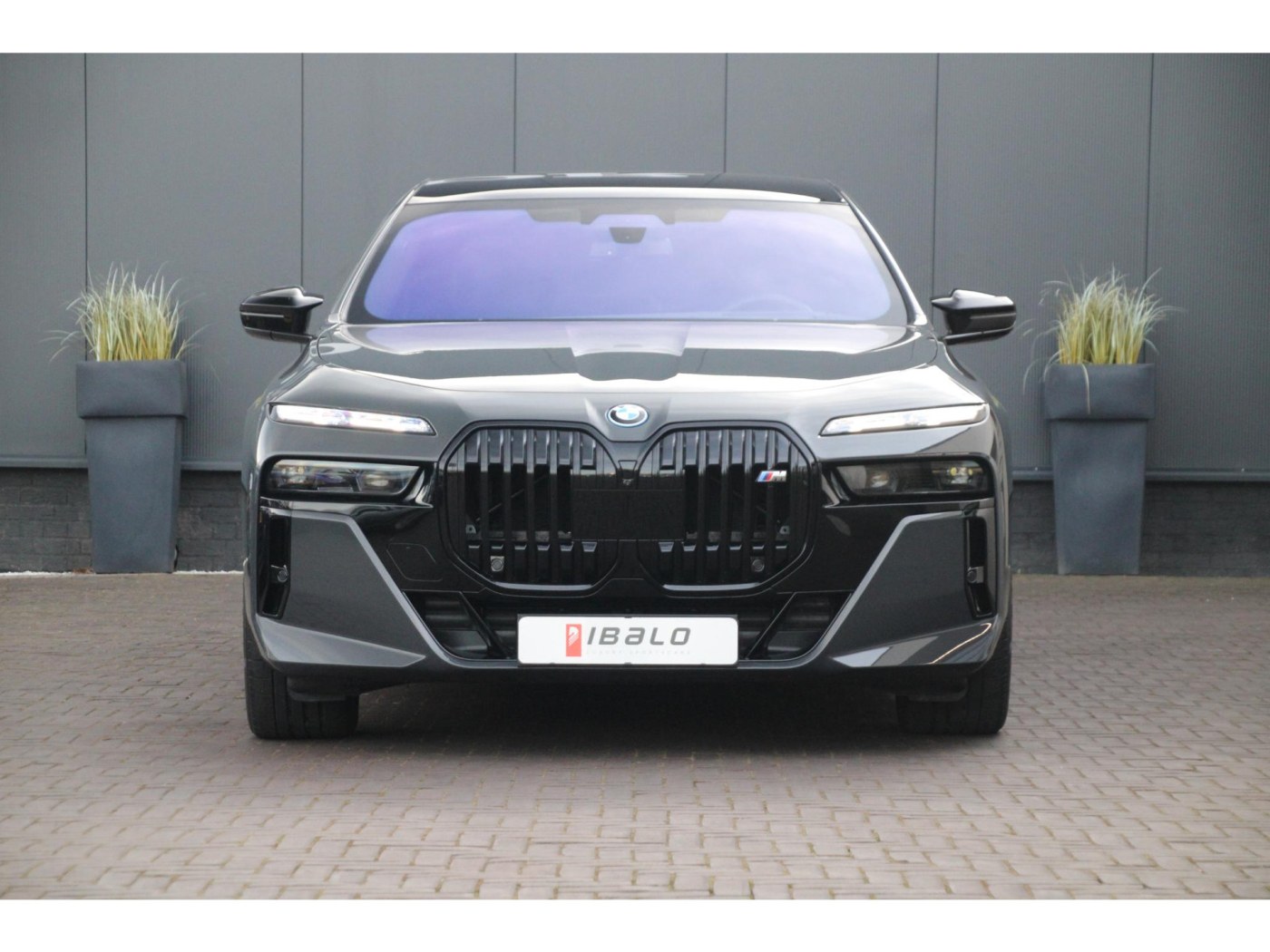 BMW 7-serie M760e xDrive M-Sport Pro — foto 3 van 34