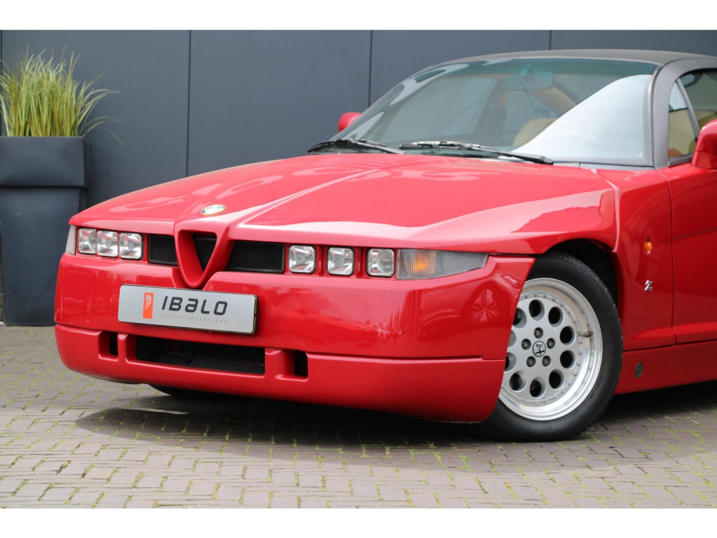 Alfa Romeo SZ Coupé — foto 6 van 43