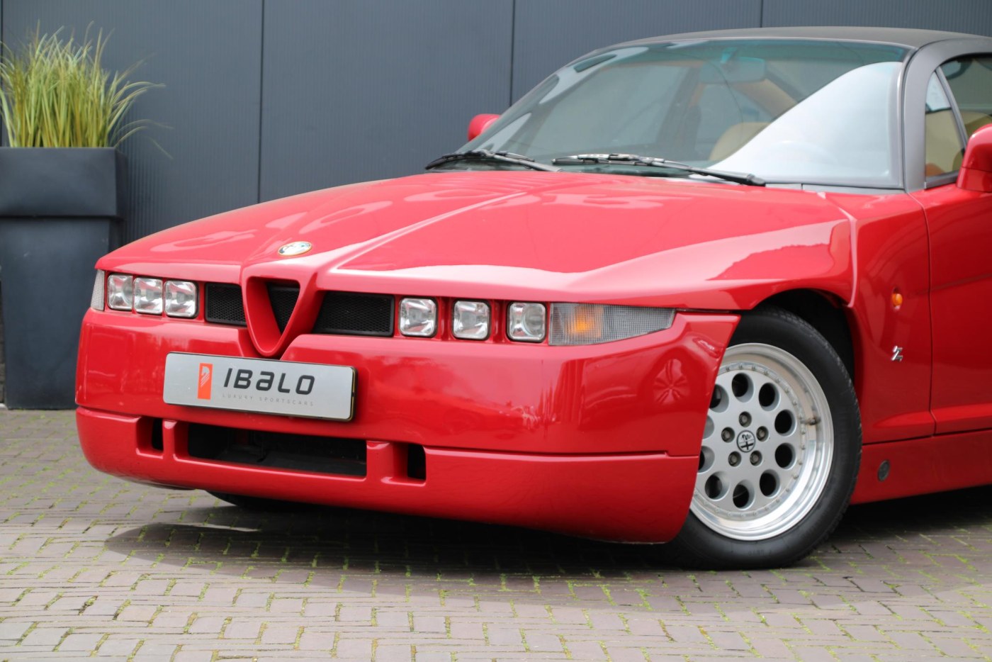 Alfa Romeo SZ Coupé — foto 6 van 43