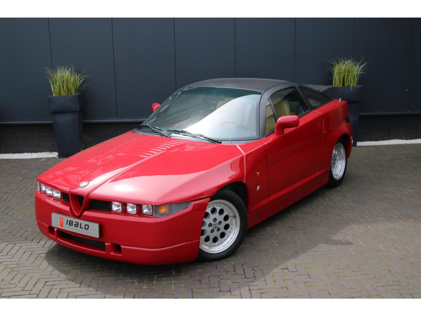 Alfa Romeo SZ Coupé — foto 7 van 43