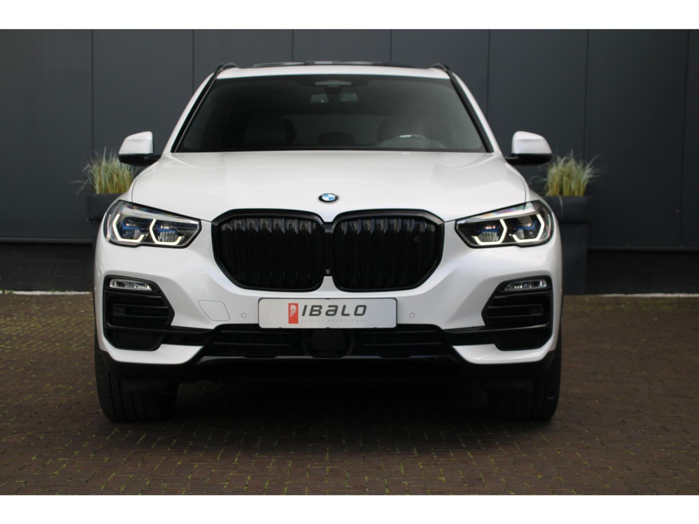 BMW X5 xDrive45e X-Line | Bowers&Wilkins | Individual | — foto 17 van 66